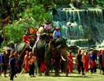Камбоджа слоны