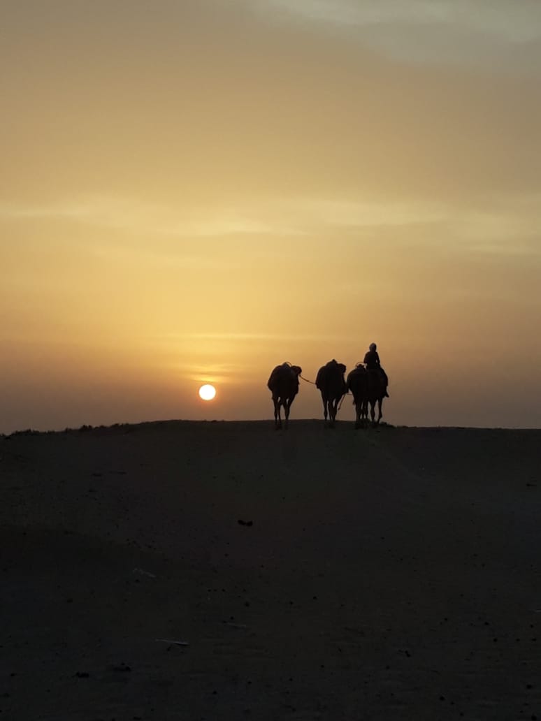 Экскурсия в Сахару в Тунисе